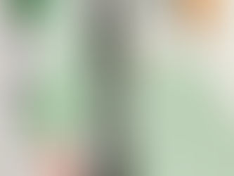 【限定御朱印頒布のご案内】