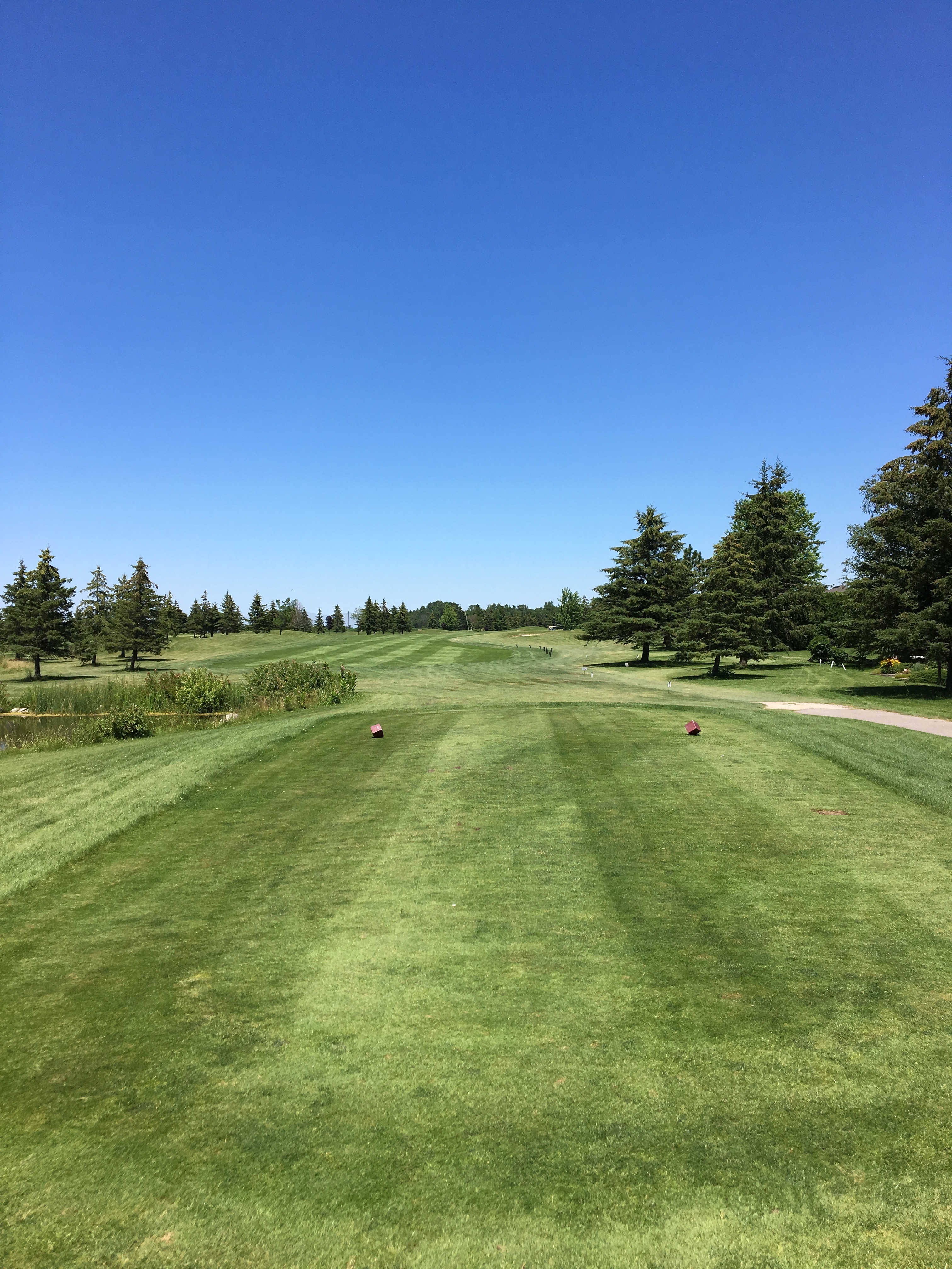 Virtual Tour Mitchell Golf and Country Club