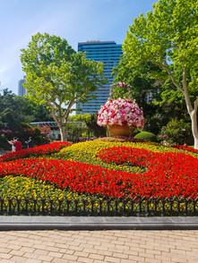 Red, yellow and pink flowers in a park