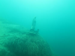 48383817_2367725486588354_88132205142658