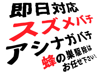 即日対応.png