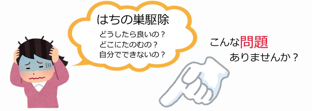 蜂の問題.png