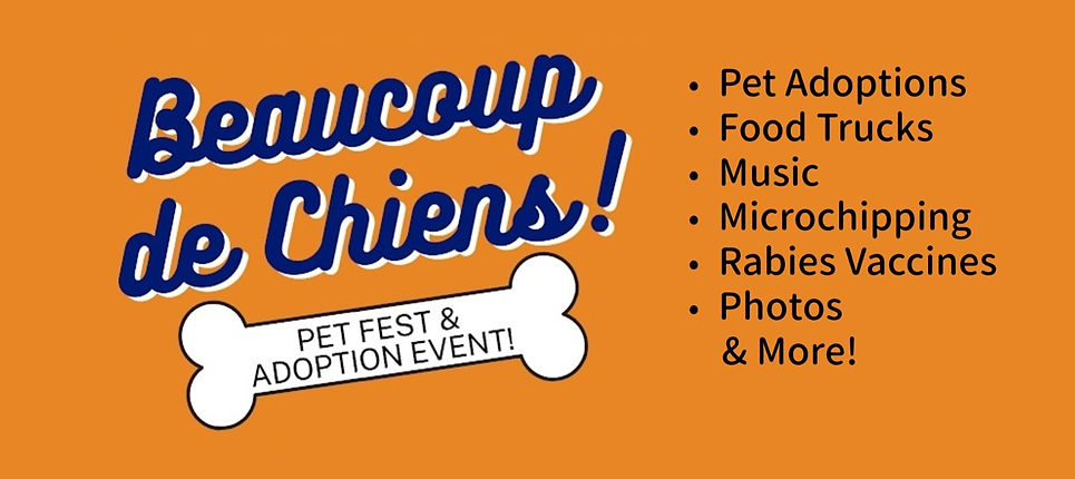 Beaucoup de Chiens homepage banner