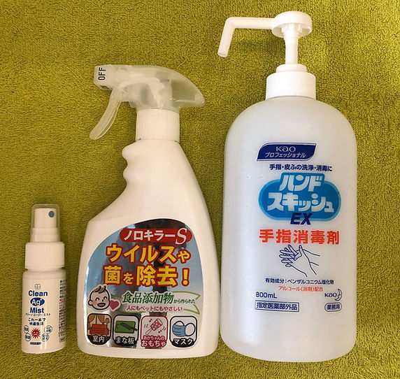 nagaokeseitiin252.jpg