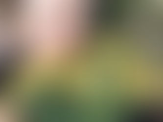 SONNENGOTT UND SOMMERGÖTTIN: Die Sommerzeit und ihre Geschenke