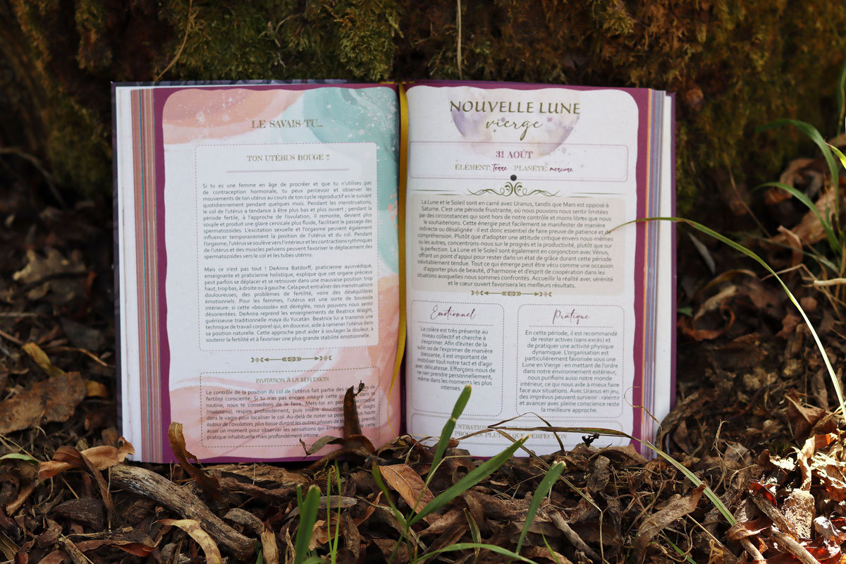 Image: Graines de Lune 2027