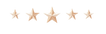 5 stars no background.png