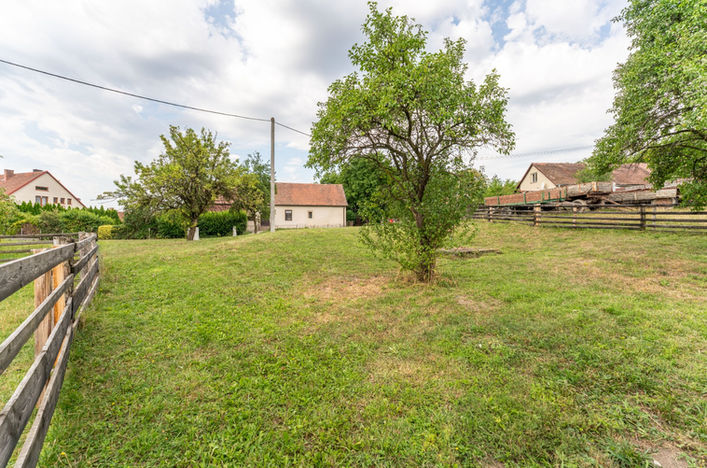 Stavební pozemek 506 m² v Boru u Skutče se vzrostlými stromy