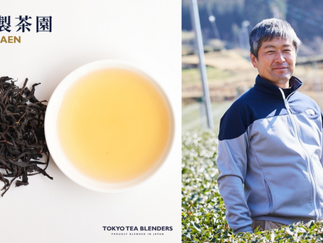 TEA FOLKS15 甲斐製茶園 甲斐雅也さんのご紹介