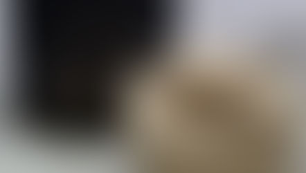 絶品!超簡単にできる丸子紅茶のパンナコッタ