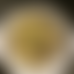 Recette Risotto aux Champignons