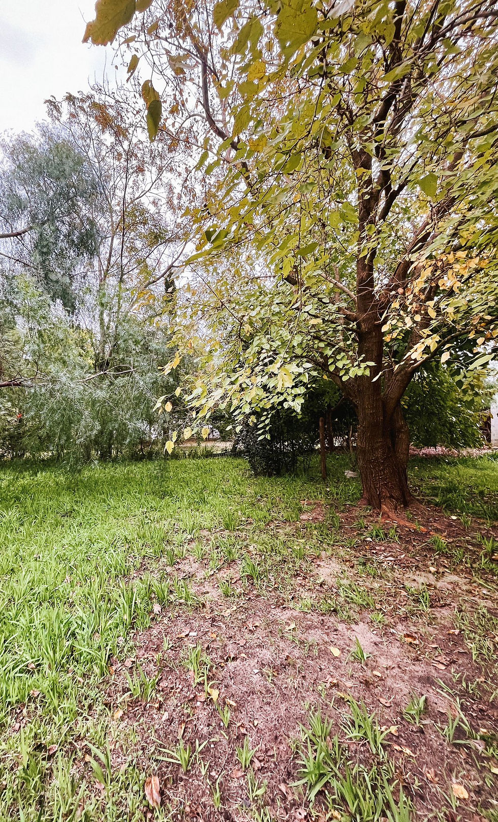 Miniatura: Casa De 3 Dormitorios En Playa Zanja Honda