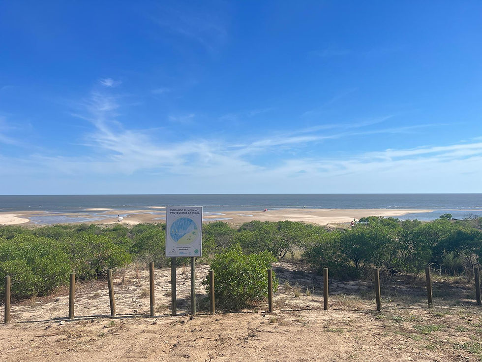 Miniatura: Dos Terrenos sobre rambla, En Santa Regina, Colonia