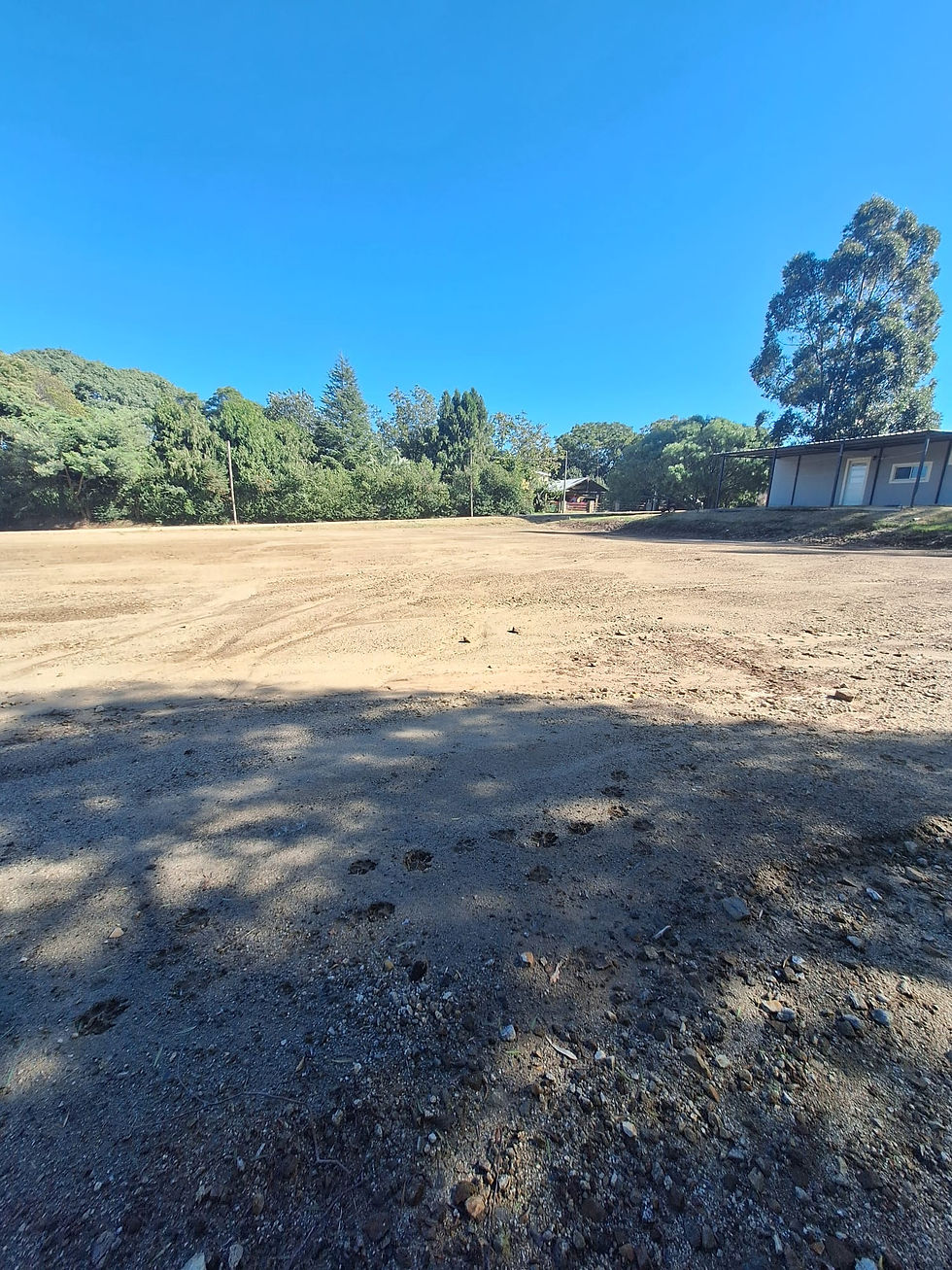 Miniatura: Terreno en Playa Azul