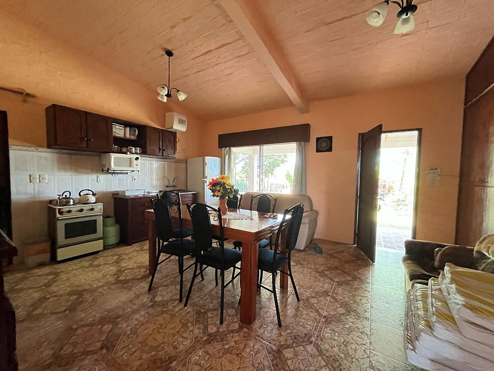 Miniatura: CASA EN BRITOPOLIS