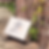 SHOPIFY DESIGNS (57).png