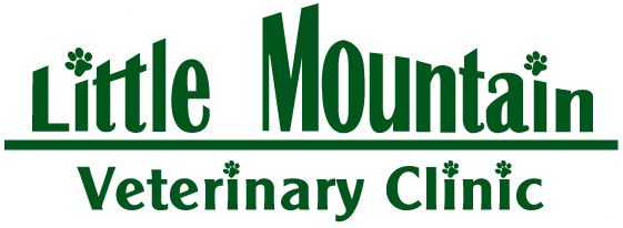 signal mountain animal hospital