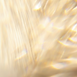 Ingredients-04.png