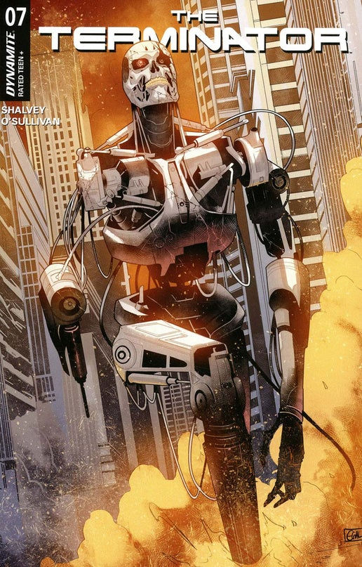 Terminator Vol 4 #7 Cover B Variant