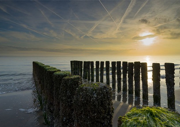 Callboy Paderborn buchen