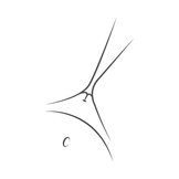 Darstellung einer Vagina