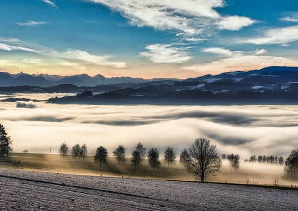 Callboy Paderborn buchen
