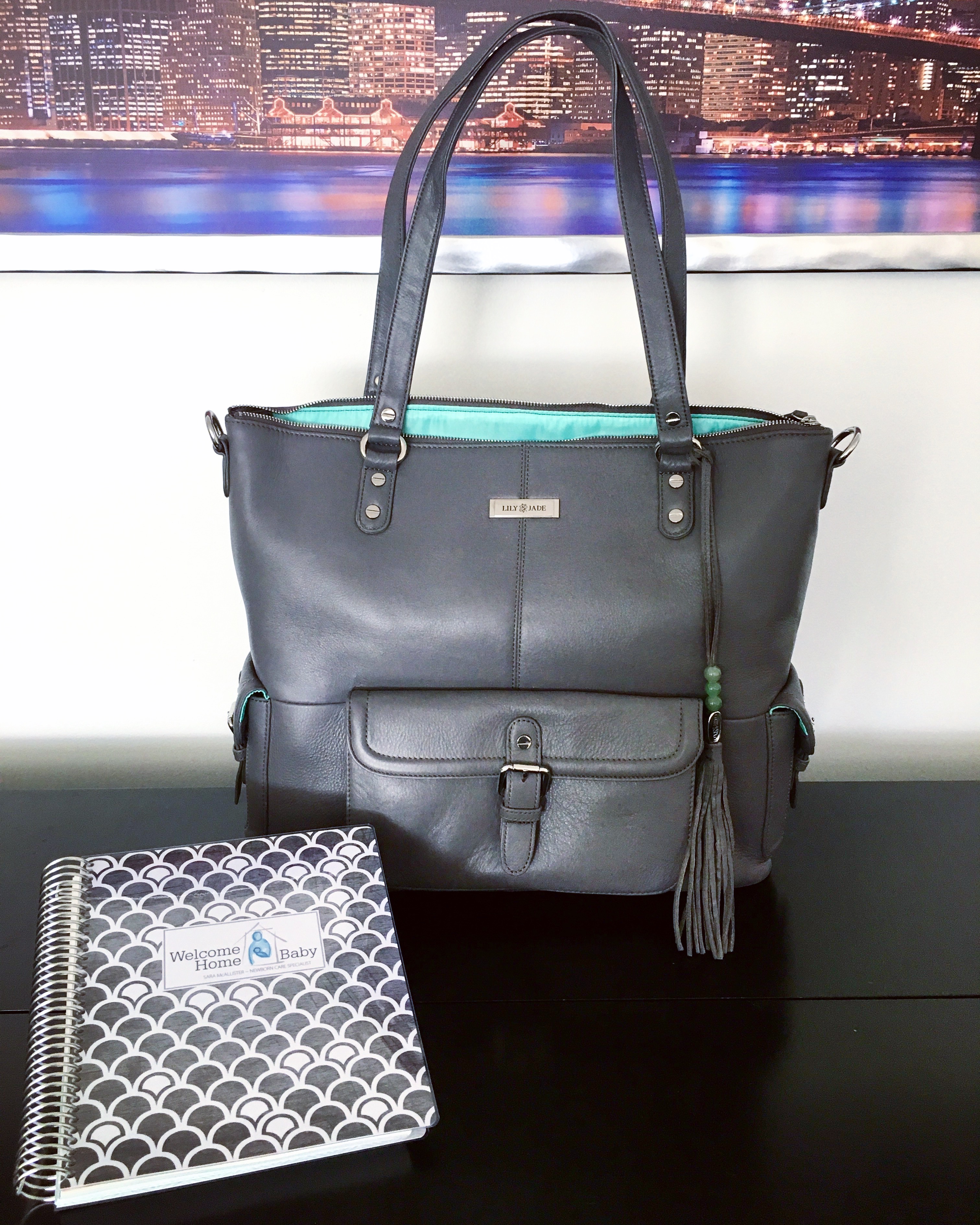 lily jade meggan backpack