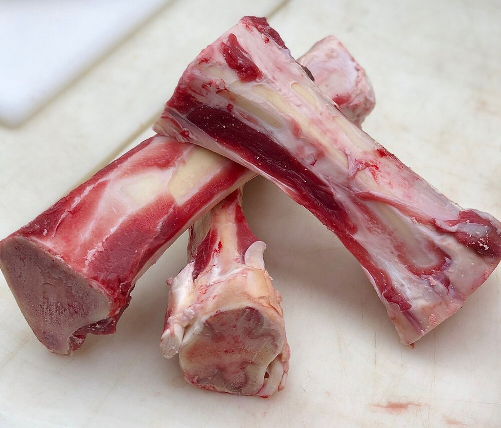 Beef Bones