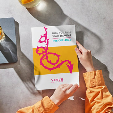 How to Train Your Dragon - Signed Copy