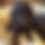 Thumbnail: Tina Turner