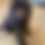 Thumbnail: Buddy Holly