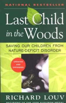 Last Child in the Woods.jpg