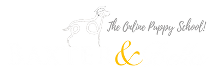 B&B PARTNERS Logo WHITE PHOTOSHOP File_p.webp