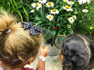 Butterflies Exhibit