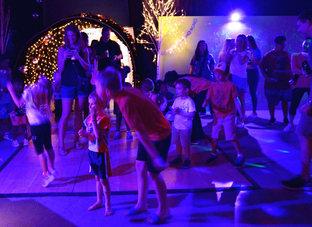 Disco Forest Exhibit Disco Forest Exhibit