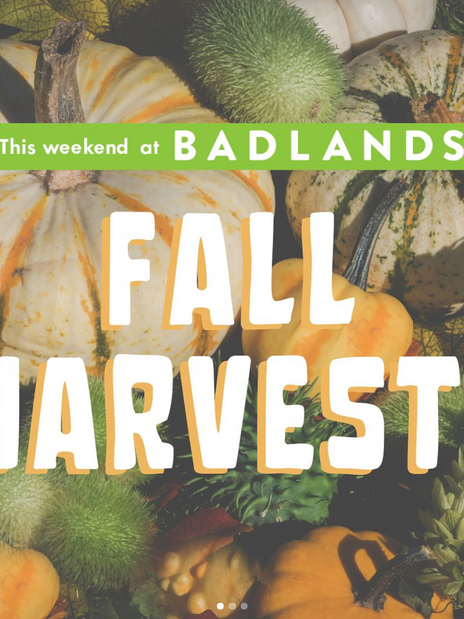 Fall Harvest Programming- Social Media