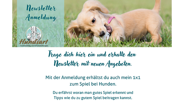 Newsletter Anmeldung (4).png