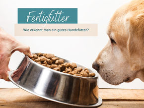 #7 - Fertigfutter, was steht drauf? - Wie finde ich ein gutes Hundefutter? 