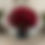 Thumbnail: 48 Red Rose in a Boxe