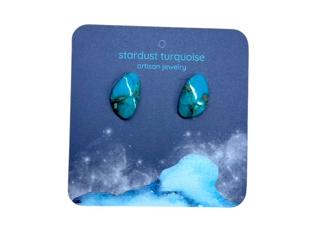 A pair of blue Kingman turquoise oblong oval earrings on a decorative card.
