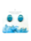 Blue Kingman turquoise oval earring studs on a designer earring card.