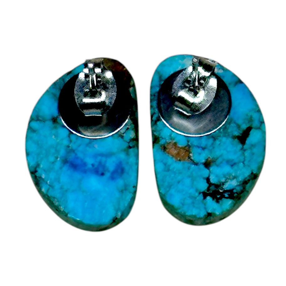 Blue Kingman turquoise earrings in a odd oval shape from the back with earring posts.