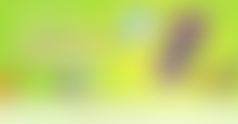 Digital Summer Reading