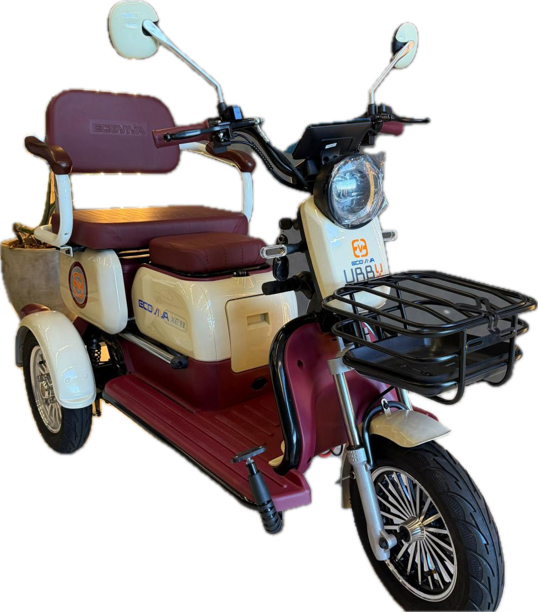 TRICICLO ELÉTRICO 1000W