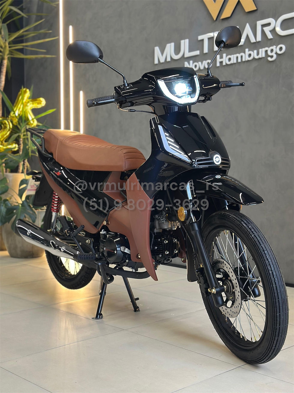 Miniatura: PHOENIX S