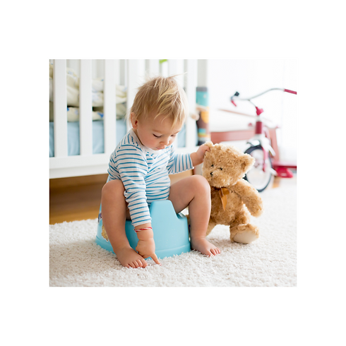 cum obisnuiesc copilul cu olita sau la wc