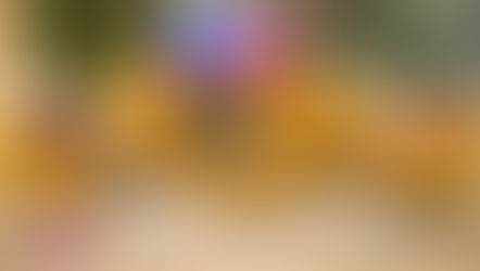 Vorbeste Lumea că renunțarea la scutece este o mare provocare. Așa să fie oare?