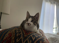 IMG_3363.jpeg