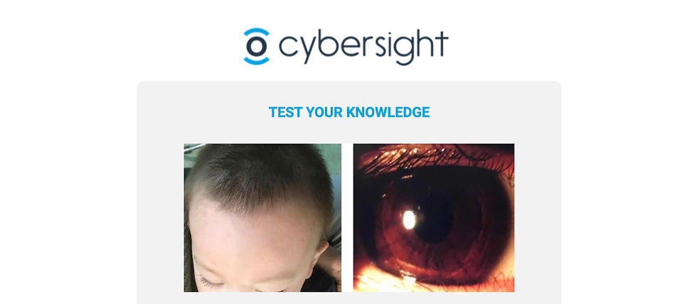 cybersight