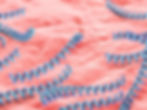 Syphilis bacteria illustration